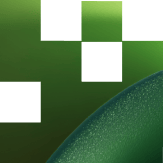 Distribution
